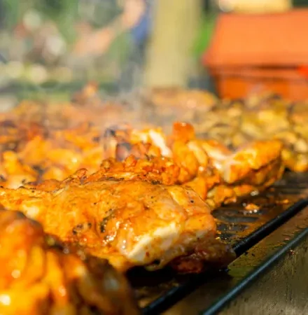 Amsterdam Grillfest i parken Amsterdam Grillfest i parken